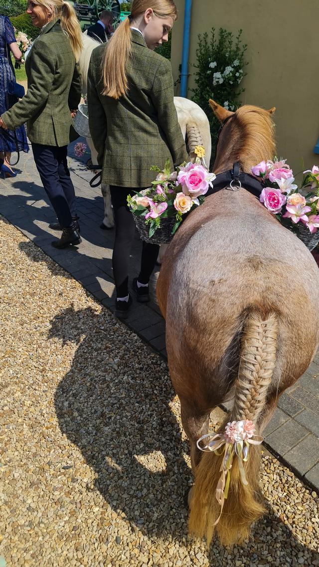 London & Cambridge Pony Parties - 3