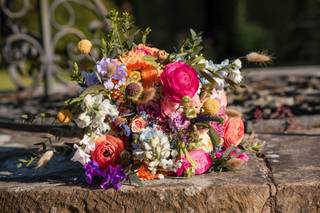 Zara Davis Photography - 12