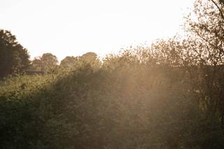 Zara Davis Photography - 13