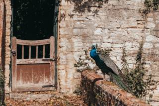 Tom Stenlake Photography - 17