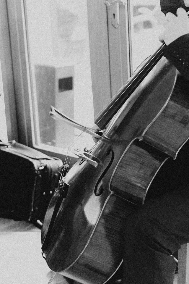 Sonore String Quartet - 2