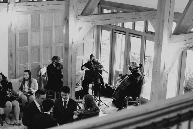 Sonore String Quartet - 4