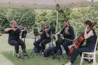 Kings String Quartet - 8