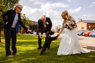 Sue's Dog Walking and Pet Care Ltd - 8