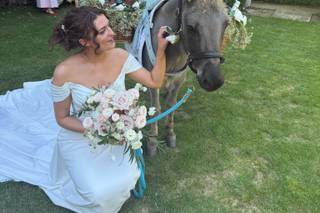 The Champagne Donkey - 4