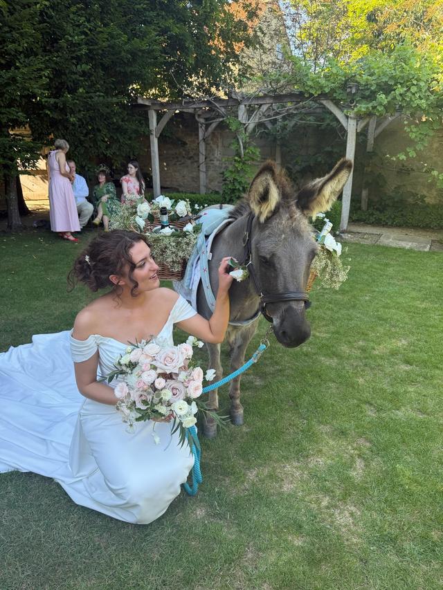 The Champagne Donkey - 2