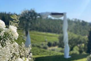 Tenuta Riseccoli - 13