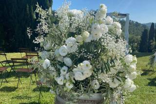 Tenuta Riseccoli - 15