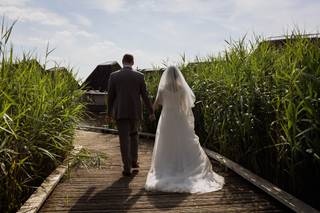 Brockholes Nature Reserve - 5