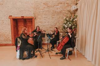 The Vyne String Quartet, Trio or Duo - 7