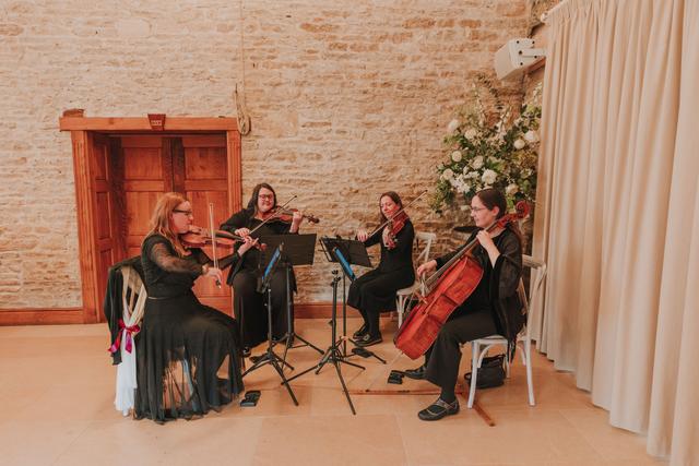 The Vyne String Quartet, Trio or Duo - 1
