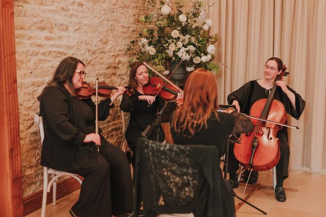 The Vyne String Quartet, Trio or Duo - 3