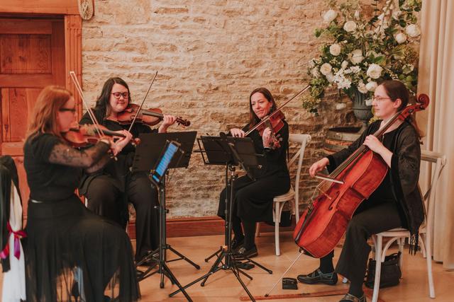 The Vyne String Quartet, Trio or Duo - 4