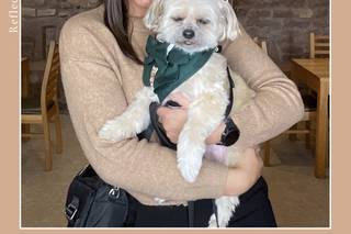 Bark Boss Wedding Dog Chaperone - 7