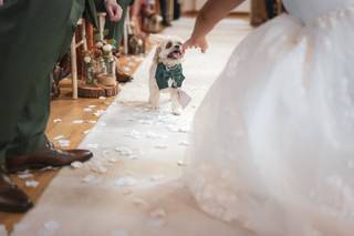 Bark Boss Wedding Dog Chaperone - 8