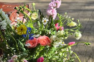 Wonderland Blooms - 8