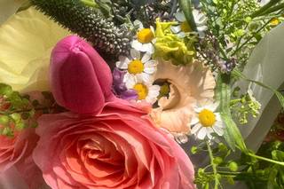 Wonderland Blooms - 10