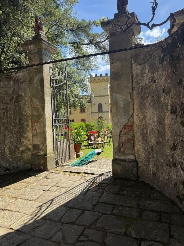 Tenuta I Bonsi - 2