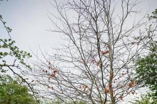 Geoff Kirby Photography - 7