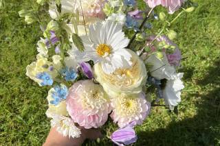 Studio Petal - 5