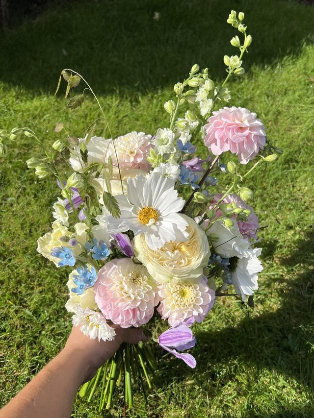 Studio Petal - 2