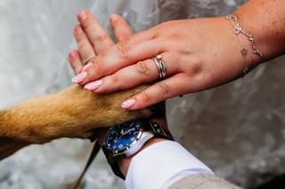 G Harlow Photography - 12