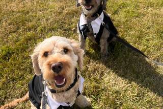 Sherry & Paws - 8