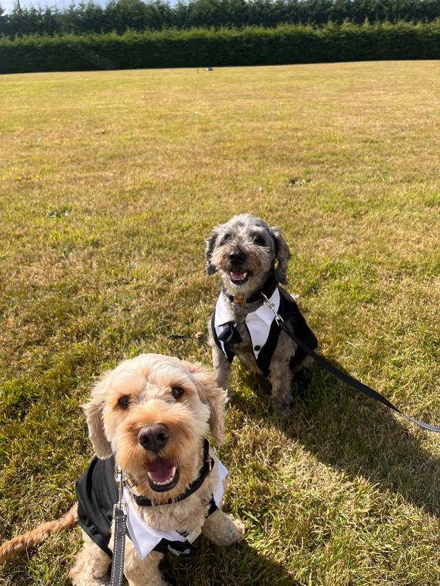 Sherry & Paws - 4