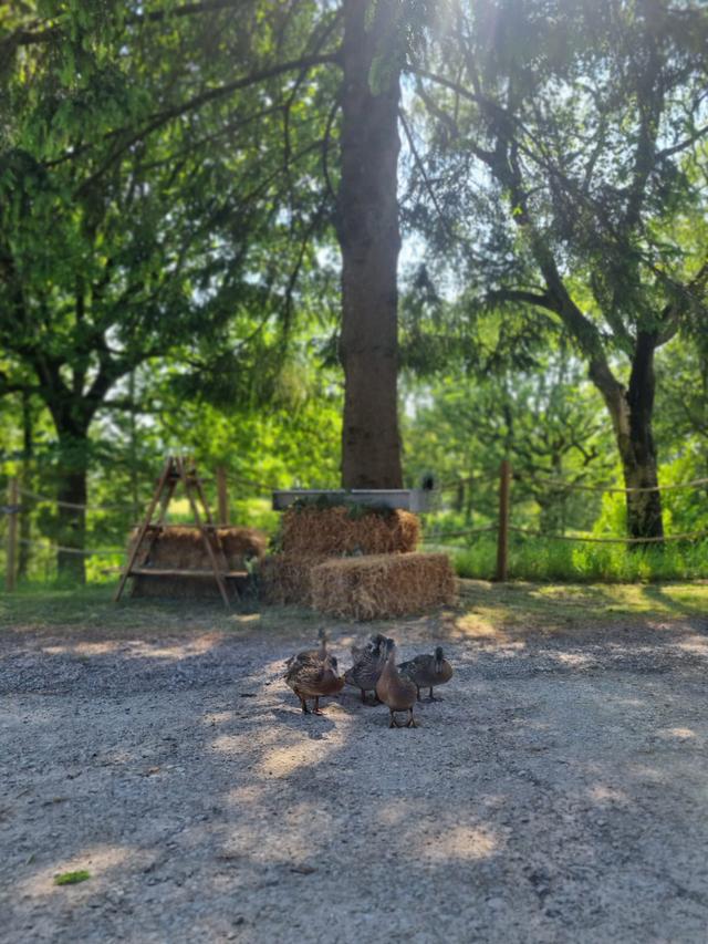 The Oaks Barn - 2