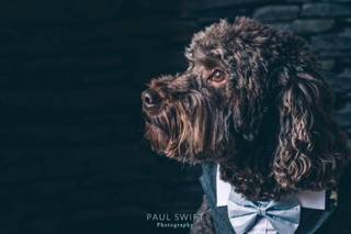 Paul Swift Photography - 7