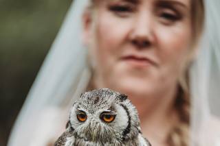 Barn Owl Ring Bearer - 6