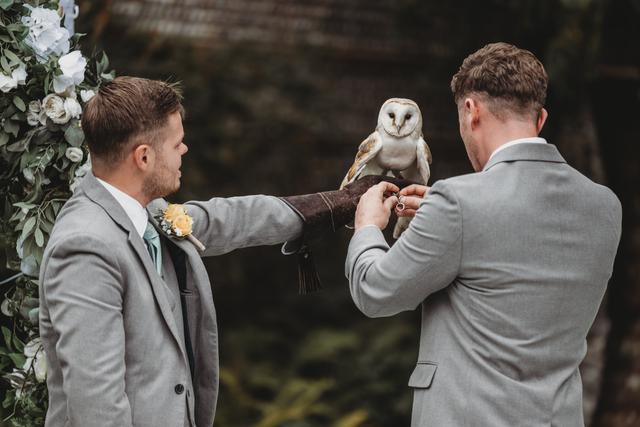Barn Owl Ring Bearer - 1
