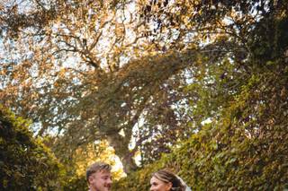 Dunedin Country House - 8