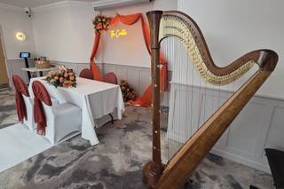 Play The Harp - 5