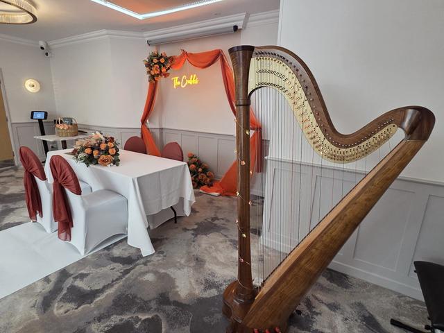 Play The Harp - 1