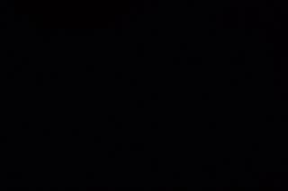 Maggies Wax Emporium - 1