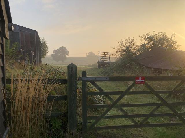 The Hare’s Field - 3