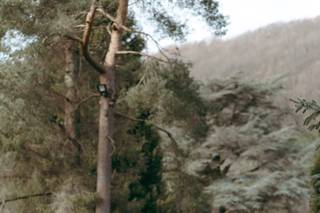 Hackness Grange - 11