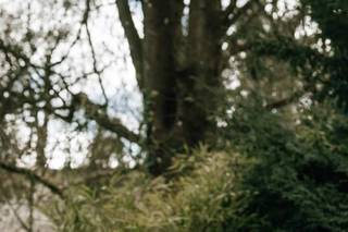 Chris Smith Photography - 6