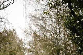 Chris Kemp Photography - 5