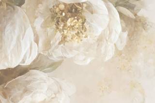 Bridezilla Weddings Co. - 1