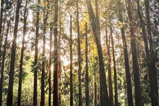A Knight's Tale Photography - 8