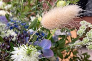 Blooming Brilliance - 6