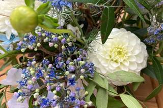 Blooming Brilliance - 7