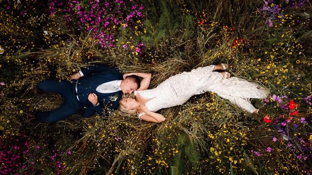 Paul Aston Photography - 1