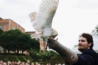 Barn Owl Ring Bearer - 17