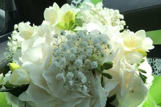 Flower Brigade - 6