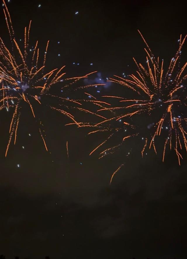 SX Fireworks - 3