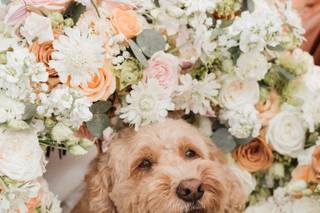 Nova Blooms Florist - 16