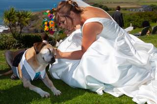 The Cornish Wedding Photographer - 7